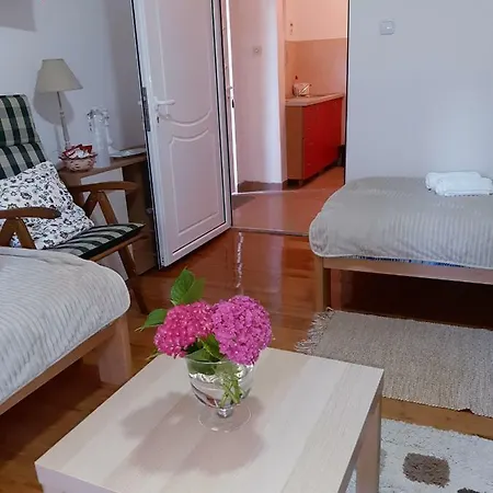 Apartment Petrovic *