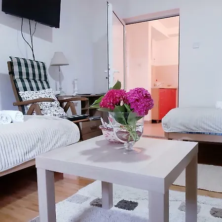 Apartment Petrovic *